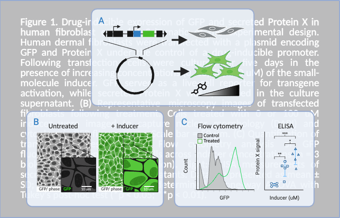The ABC Trifecta: A Three-Part Figure Strategy for Stronger Research&nbsp;Papers